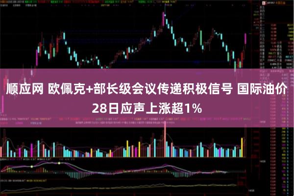 顺应网 欧佩克+部长级会议传递积极信号 国际油价28日应声上涨超1%