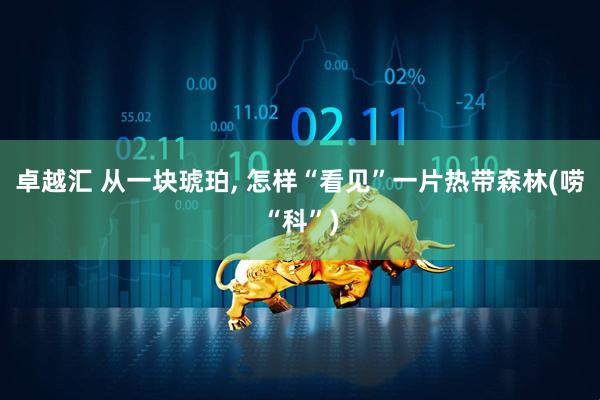 卓越汇 从一块琥珀, 怎样“看见”一片热带森林(唠“科”)