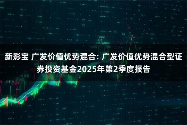 新影宝 广发价值优势混合: 广发价值优势混合型证券投资基金2025年第2季度报告