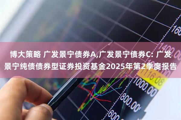 博大策略 广发景宁债券A,广发景宁债券C: 广发景宁纯债债券型证券投资基金2025年第2季度报告
