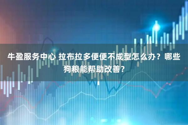 牛盈服务中心 拉布拉多便便不成型怎么办？哪些狗粮能帮助改善？