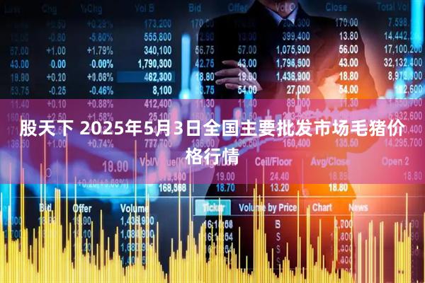 股天下 2025年5月3日全国主要批发市场毛猪价格行情